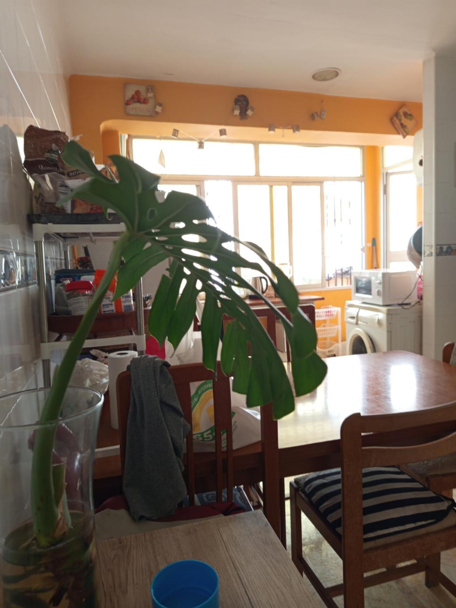 Habitaciones Comodas Gandía Εξωτερικό φωτογραφία